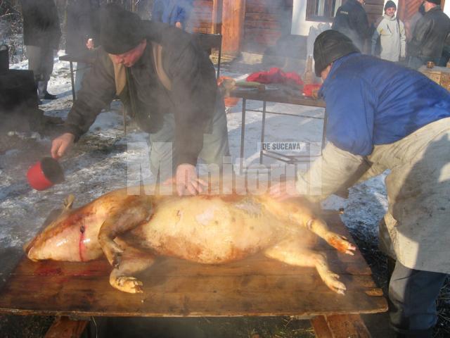 Ziua de 20 decembrie este consemnată în calendarul popular ca Ignatul porcilor