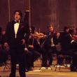 Concertul extraordinar pentru Anul Nou 2013 a deschis şirul spectacolelor din acest an la Suceava