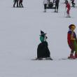 Ziua Mondială a Zăpezii a fost sărbătorită la Vatra Dornei