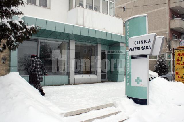 Clinica Helmivet este deschisă zilnic, iar cazurile de urgenţă sunt rezolvate la orice oră din zi şi din noapte