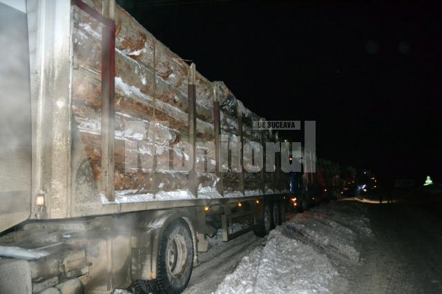 Poliţiştii au verificat în trafic 388 de maşini care transportau lemn