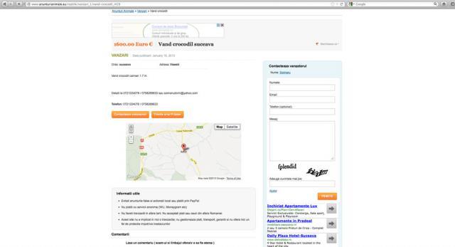 Într-un alt anunţ postat Şoimaru pe internet sunt oferiţi la vânzare crocodili, cu 1.600 de euro bucata