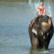 Elefanţii le oferă turiştilor câte o baie în Parcul Naţional Chitwan