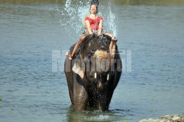 Elefanţii le oferă turiştilor câte o baie în Parcul Naţional Chitwan