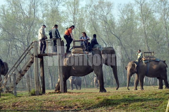 Elefanţii, o sursă importantă de venit pentru localnici şi o distracţie pentru turişti