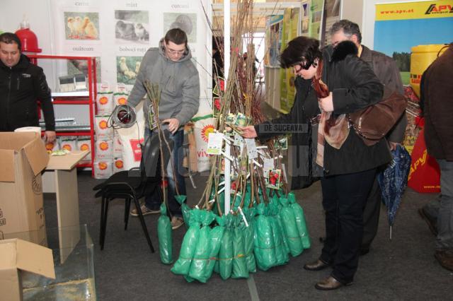 Oferta diversificată la Agro Expo Bucovina 2013