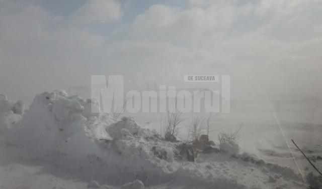 Ninsoarea mieilor a dat peste cap tot judeţul