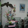 Expoziţia temporară „Lumea minunată a păsărilor”