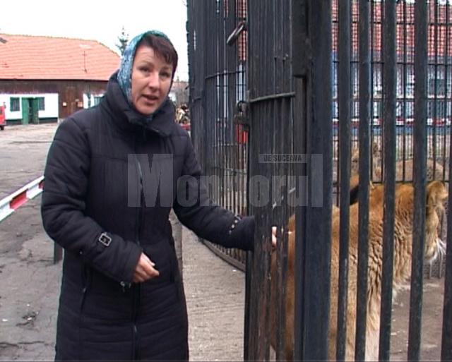 Ana Angelica Olenici, cea care este şi asistent veterinar în cadrul parcului zoo, este cercetată pentru săvârşirea infracţiunii de vătămare corporală din culpă