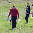 Campanie amplă de plantare de arbori, în Fălticeni