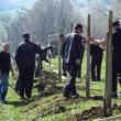 Pompierii s-au implicat în campania „Plantează un arbore”