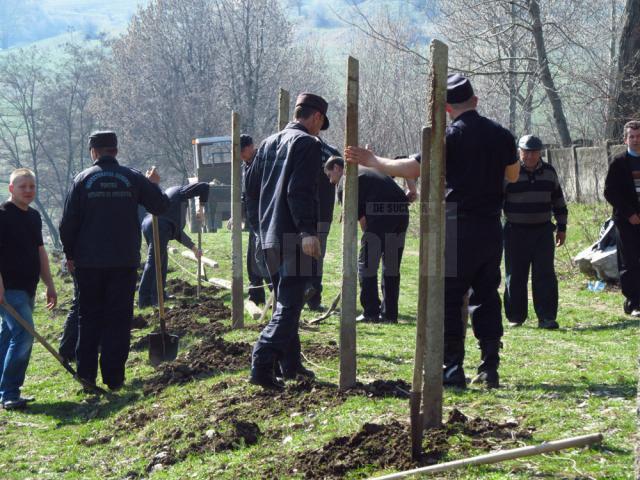 Pompierii s-au implicat în campania „Plantează un arbore”