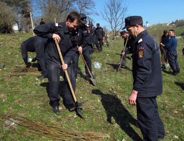 Pompierii s-au implicat în campania „Plantează un arbore”