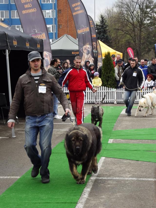 Parada de onoare a câinilor înscrişi în competiţie
