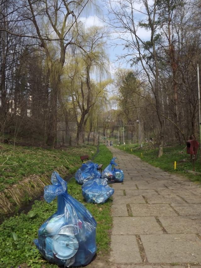 Angajaţii Selgros şi elevii a trei şcoli din Suceava au făcut curat în parcul Şipote