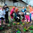 Elevii de la Şcoala Gimnazială Nr. 8 au plantat panseluţe