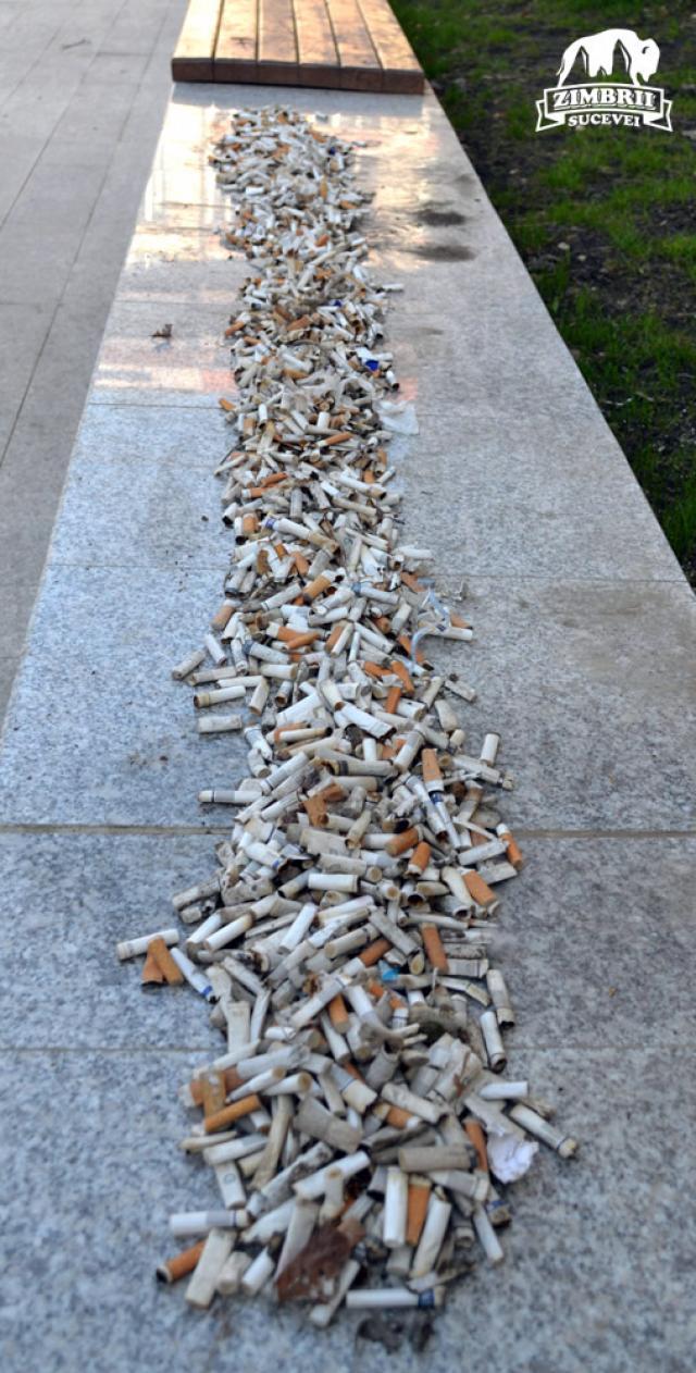 Mucurile de ţigară adunate din parc