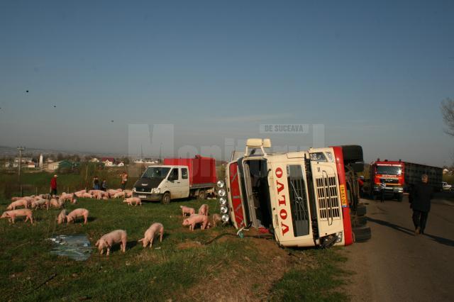 tir răsturnat la Salcea