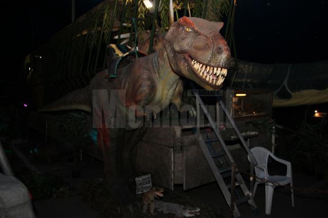 Dino Expo Show