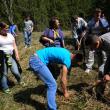 Peste 500 de puieţi de arbori, plantaţi de elevi ai Școlii Profesionale Speciale din Câmpulung Moldovenesc