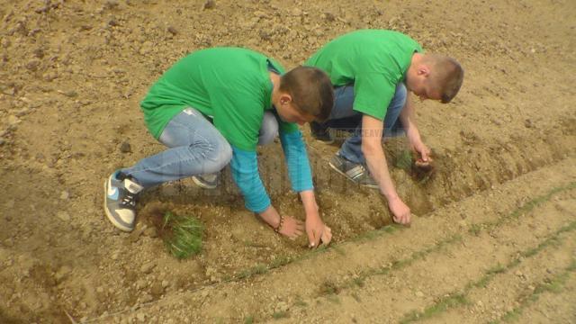 Elevii şi poliţiştii fălticeneni, parteneri în “Eco Desire”