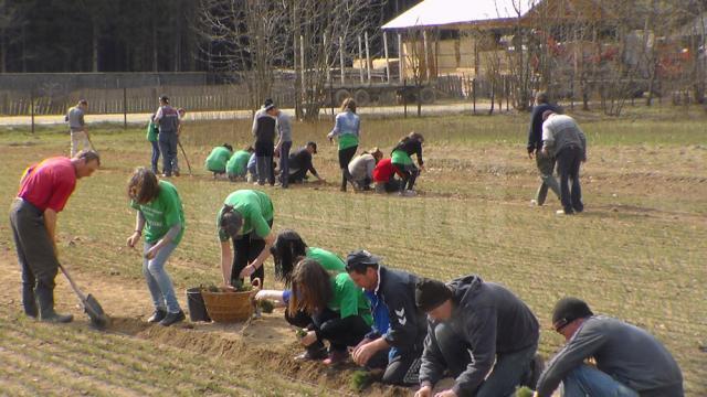 Elevii şi poliţiştii fălticeneni, parteneri în “Eco Desire”