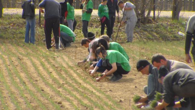 Elevii şi poliţiştii fălticeneni, parteneri în “Eco Desire”