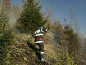 Incendiu extins la zece hectare de pădure în Vinerea Mare