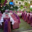 În restaurantul şi grădina de vară Admiral Cetate se pot organiza nunţi, botezuri, aniversări