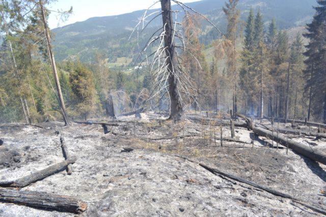Incendiul din apropiere de Parcul Naţional Călimani s-a extins pe 15 hectare