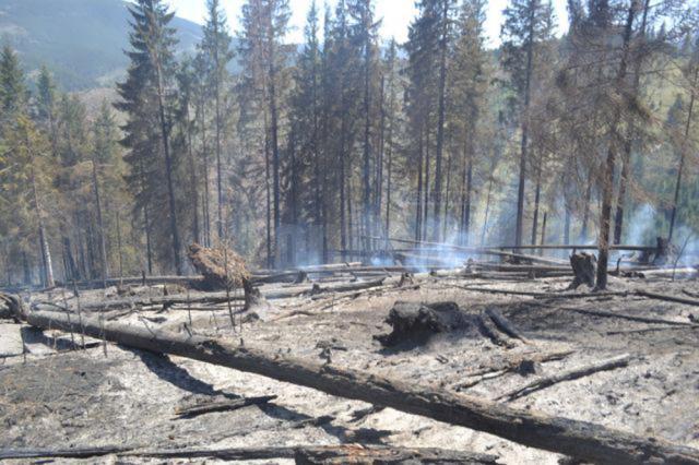 Incendiul din apropiere de Parcul Naţional Călimani s-a extins pe 15 hectare