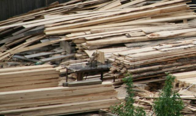 Material lemnos în valoare de aproape 170.000 de euro a fost confiscat de poliţişti de la o societate de profil din comuna Gălăneşti