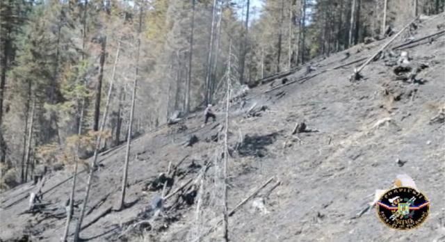 Incendiul care a distrus 50 de hectare de pădure