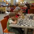 Concursul de şah „Cupa grădiniţelor” şi-a desemnat câştigătorii