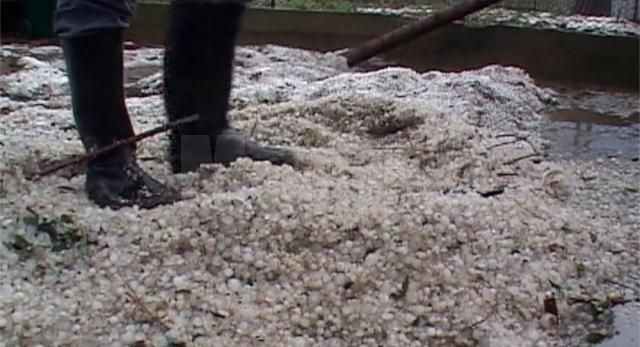 Ieri după-amiază, gheaţa cât oul de porumbel a făcut prăpăd la Cornu Luncii