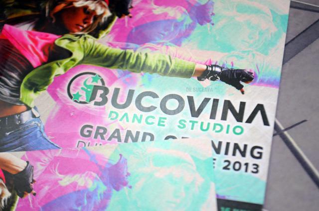 Bucovina Dance Studio
