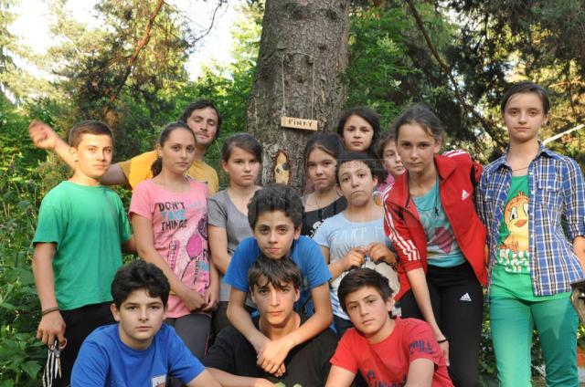 Tinerii protestatari sunt deciși să ocrotească arborii din parcul câmpulungean