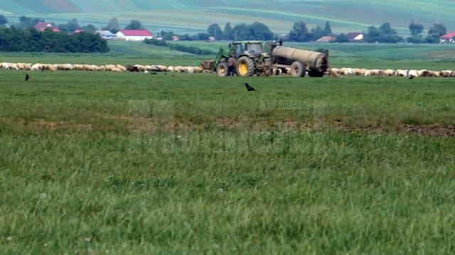 Reporterii Monitorul de Suceava au fotografiat şi înregistrat video un tractor în timp ce descărca deşeurile