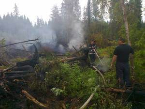 incendiu fond forestier