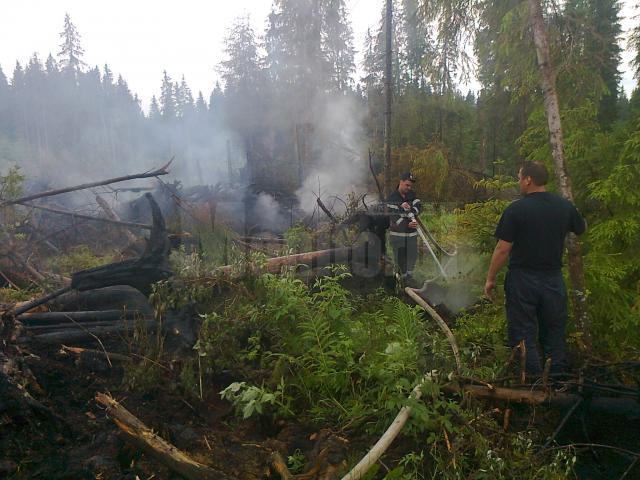 incendiu fond forestier