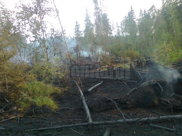 Incendiul a fost stins după 11 ore de muncă