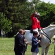 Curse cu obstacole, salturi uriaşe şi cai de rasă din toată ţara, la Cupa Bucovinei 2013