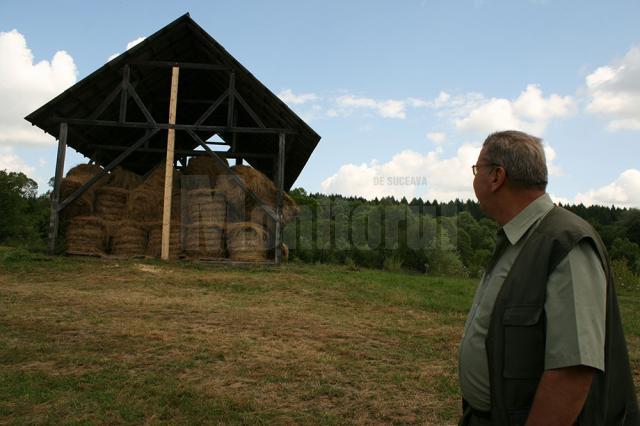 Fânul este depozitat pentru iarna in saivane special construite