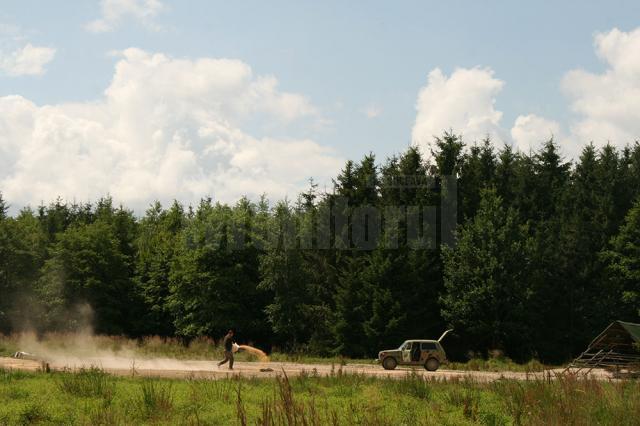 Animalele sălbatice primesc zilnic porumb