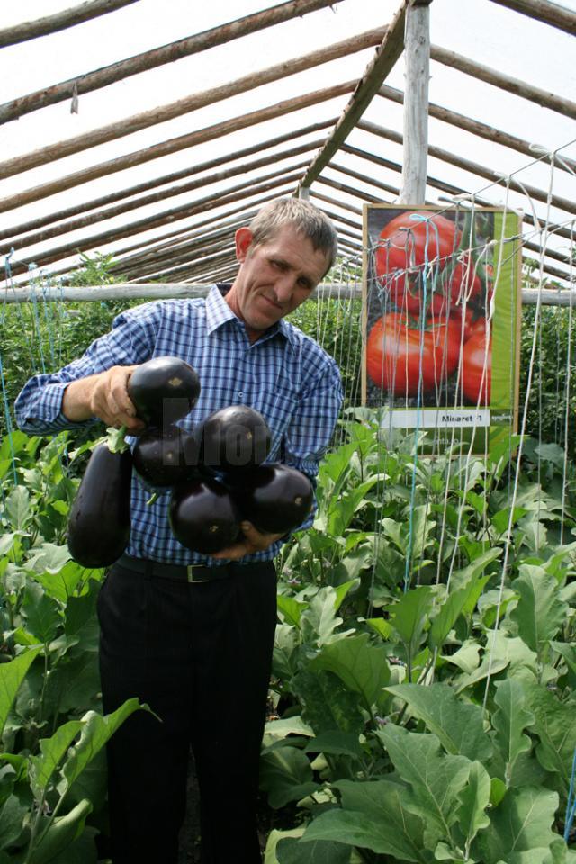 Sera lui Vasile Mătrăşoaie poate fi luată ca exemplu de cei care doresc să practice legumicultura