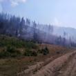 Peste 100 de pompieri au intervenit pentru stingerea unui incendiu de pădure, pe raza comunei Cârlibaba