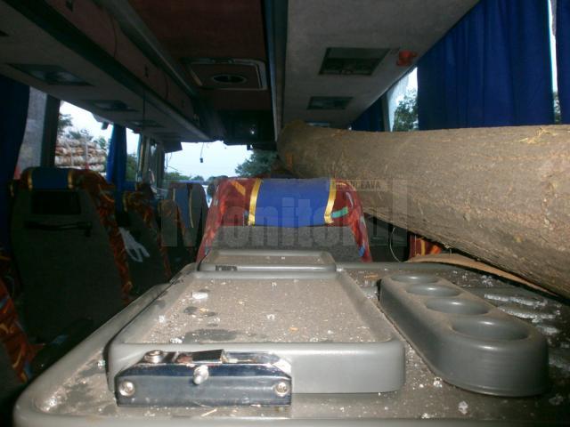 Buştenii au căzut dintr-un camion înmatriculat în Suceava. Foto: Orizont.info