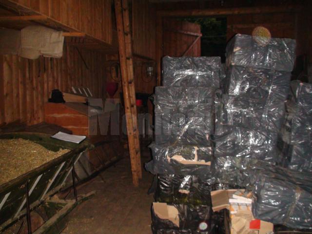Ţigări de contrabandă în valoare de peste 140.000 de euro au fost găsite miercuri dimineaţă de poliţişti în şura unei gospodării din satul Laura, oraşul Vicovu de Sus