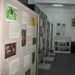 Expoziţia “Insectele - hrană şi medicament”