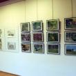 Fotografiile şi desenele din cadrul expoziţiei Ecoturism Art pot fi admirate până pe 22 septembrie la City Gallery